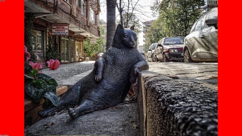 21 Essential Tips to Improve Your Health Insurance