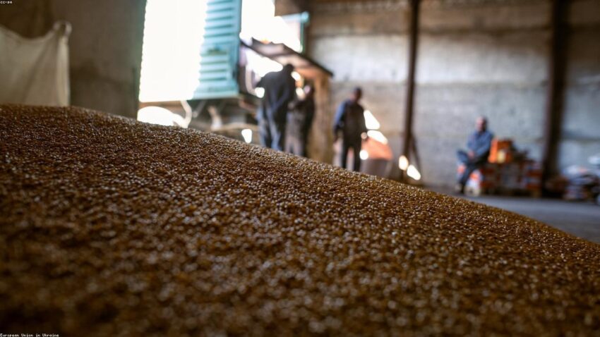 The Advanced Guide to Healthy Food for Beginners